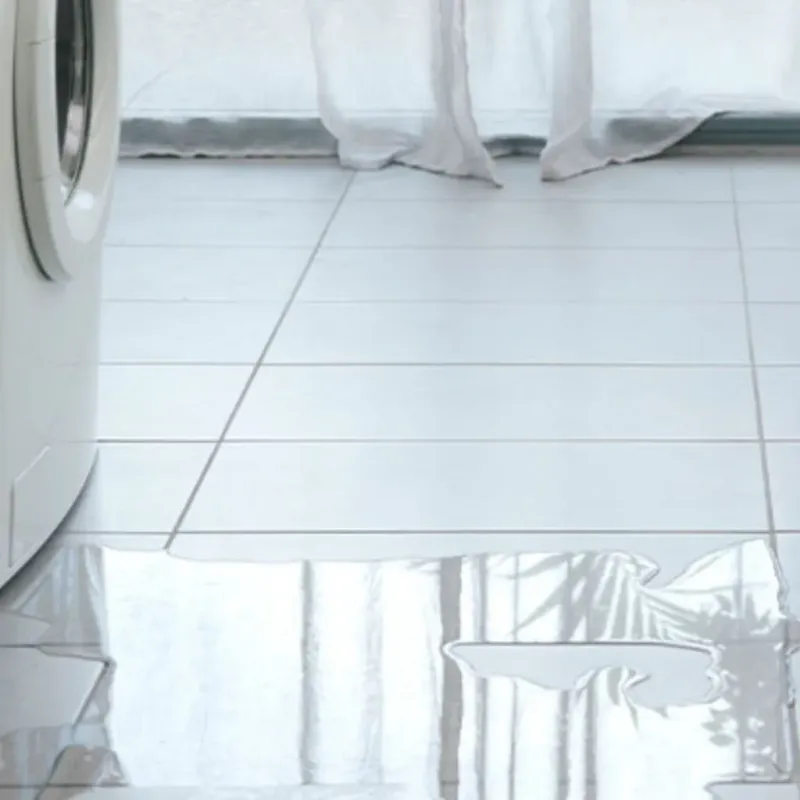 Appliance Leak Cleanup in Grafton, MA